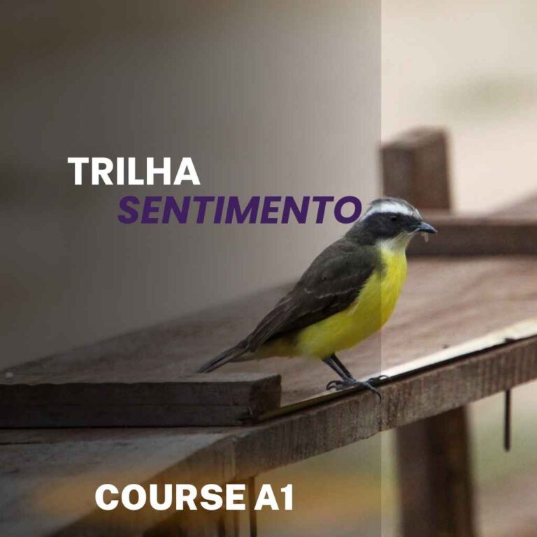 Curso Bem-Te-Vi A1 – Trilha Sentimento
