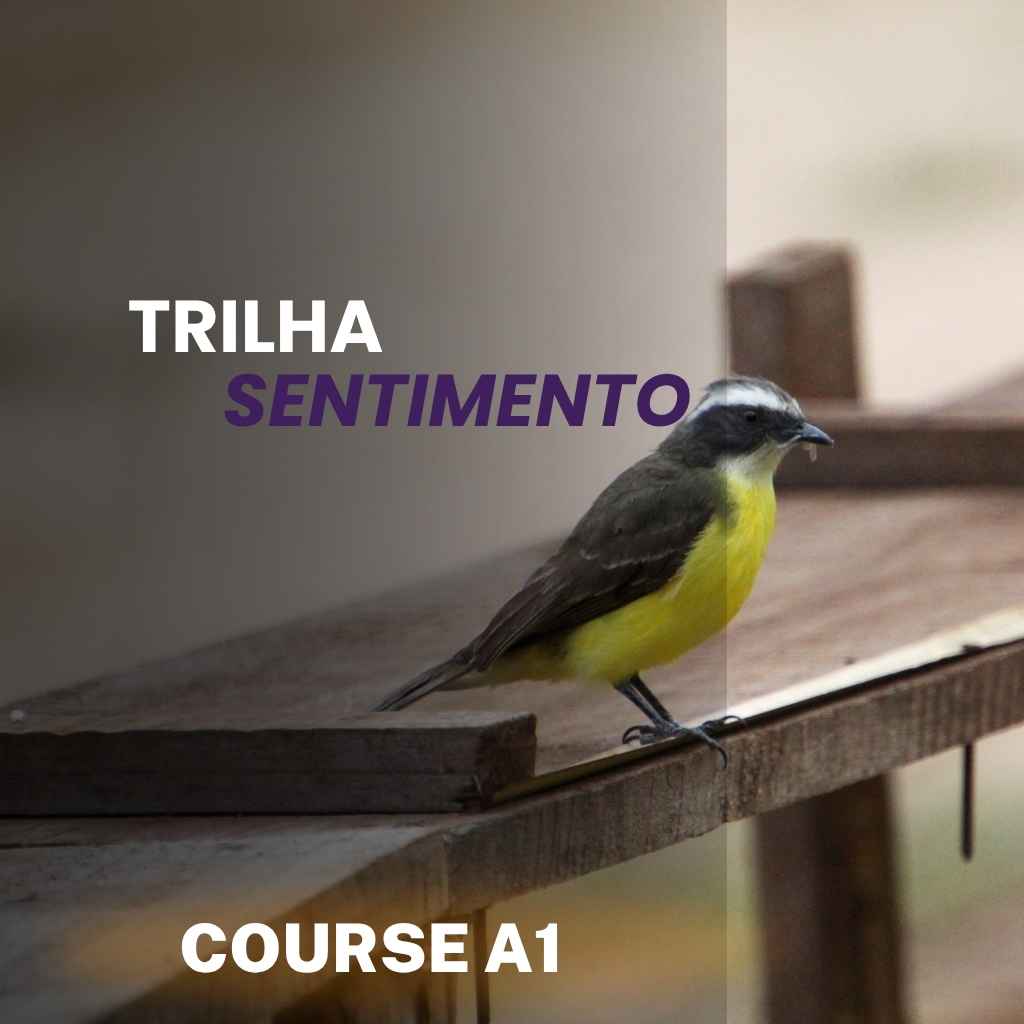 Curso Bem-Te-Vi A1 – Trilha Sentimento