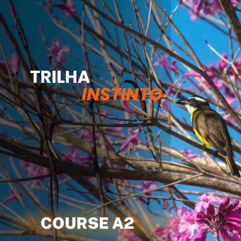 Curso Bem-Te-Vi A2 – Trilha Instinto