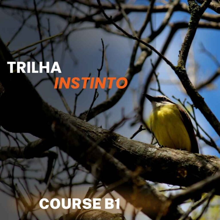 Curso Bem-Te-Vi B1 – Trilha Instinto
