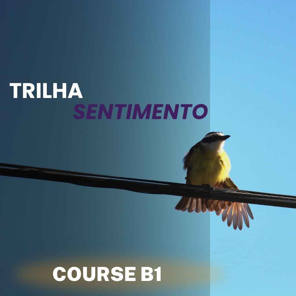 Curso Bem-Te-Vi B1 – Trilha Sentimento