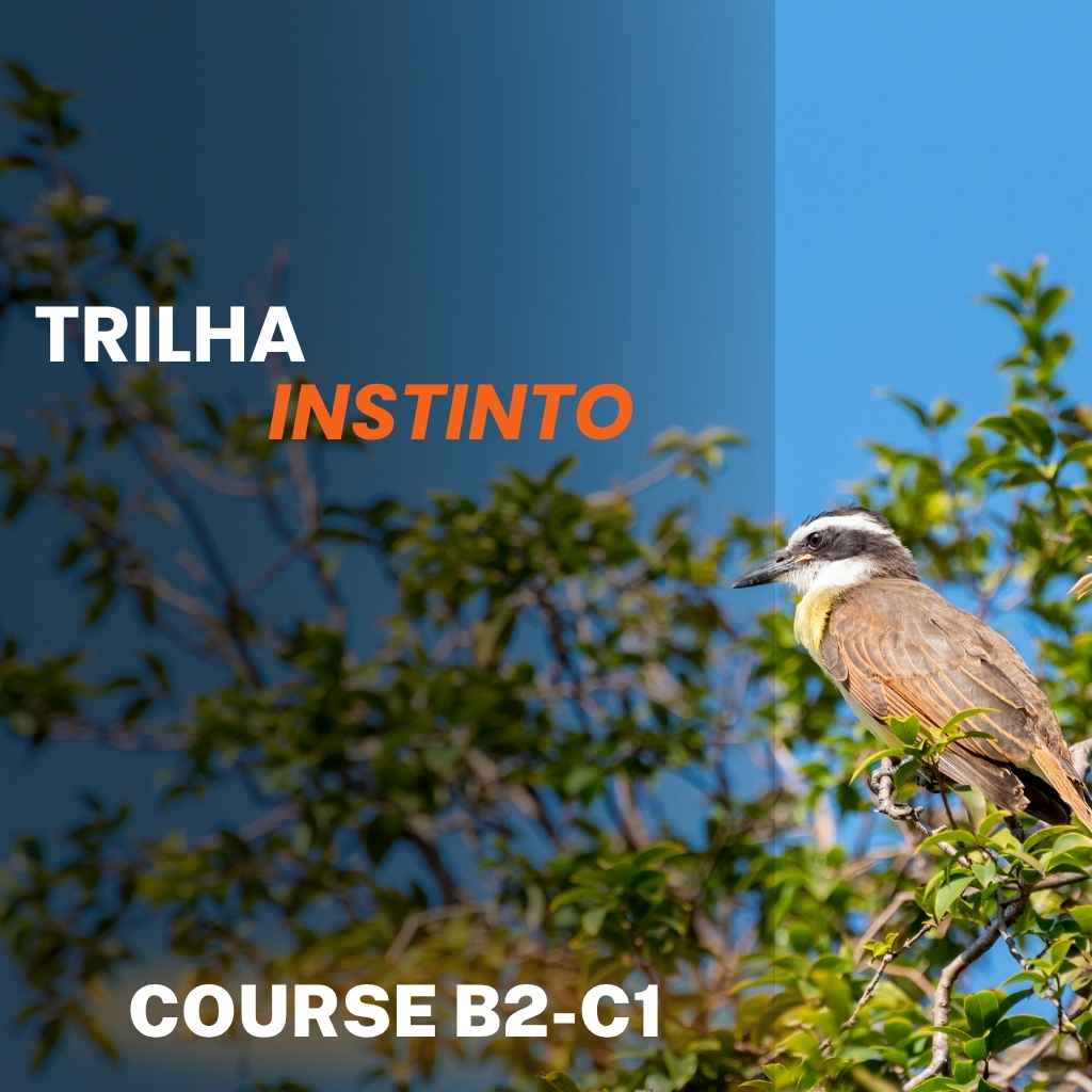 Curso Bem-Te-Vi B2-C1 – Trilha Instinto