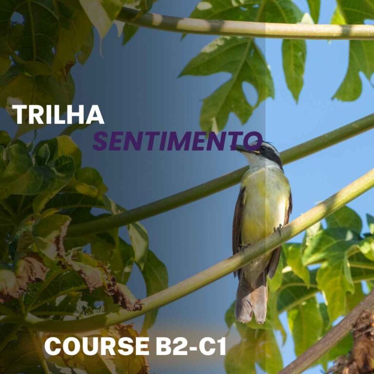 Curso Bem-Te-Vi B2-C1 – Trilha Sentimento