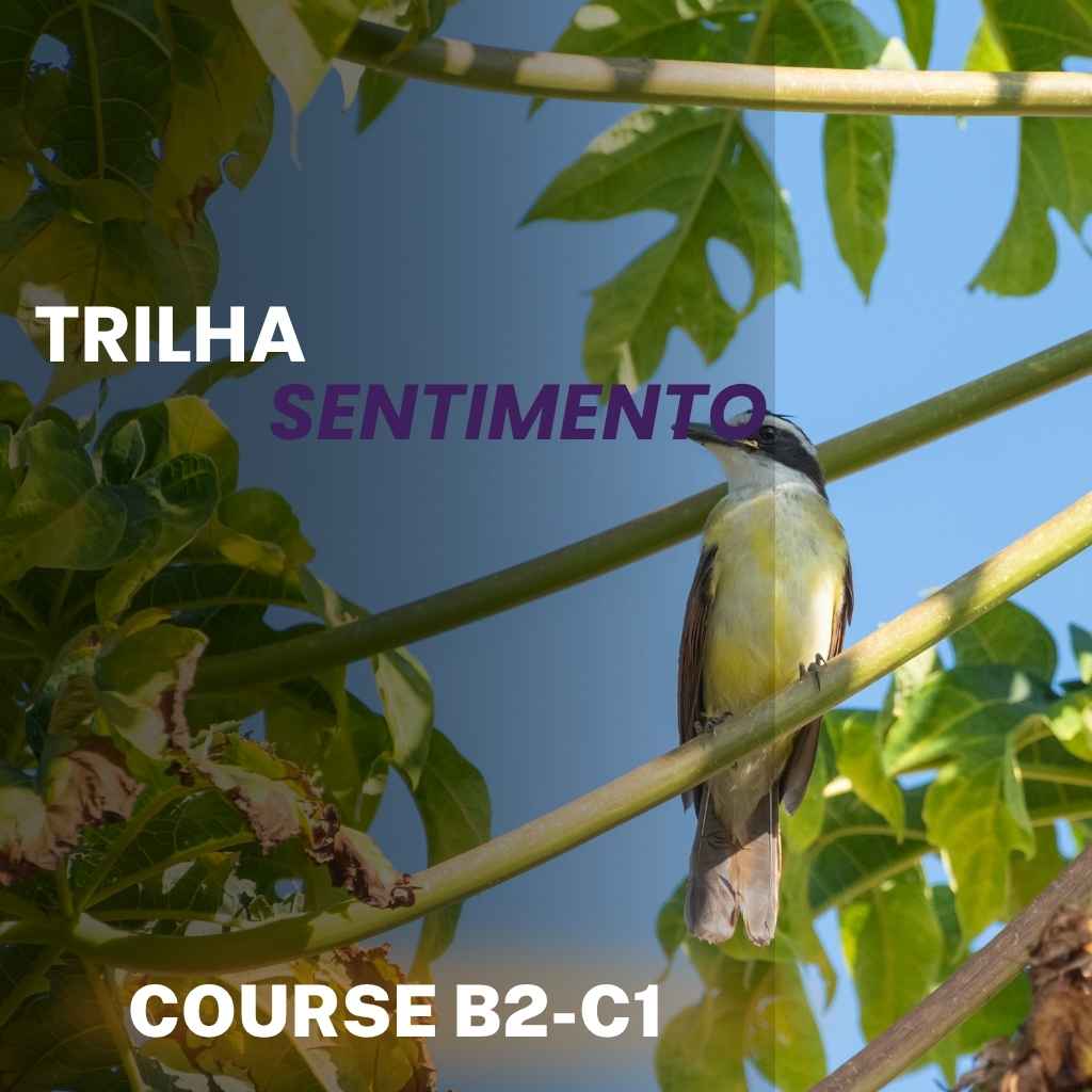 Curso Bem-Te-Vi B2-C1 – Trilha Sentimento